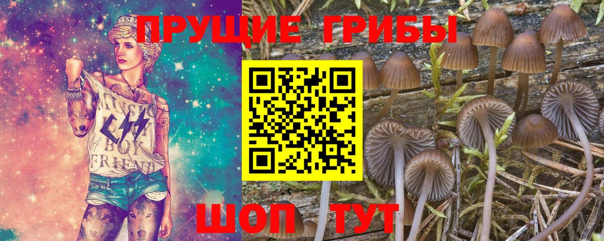 Десногорск  Галлюциногенные грибы Psilocybine cubensis  Псилоцибиновые грибы GOLDEN TEACHER  Вход с VPN 